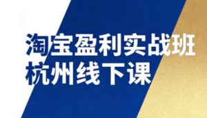 淘宝盈利实战班杭州线下课12月26-28日（音频+字幕），帮你掌握SOP流程+12门核心技术-最全资源库