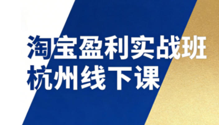 淘宝盈利实战班杭州线下课12月26-28日（音频+字幕），帮你掌握SOP流程+12门核心技术-最全资源库
