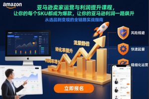 亚马逊卖家运营与利润提升课程，让你的每个SKU都成为爆款，让你的亚马逊利润一路飙升（更新12月）-最全资源库