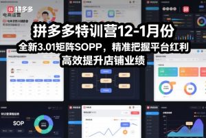 拼多多特训营12-1月份，全新3.01矩阵Sop，精准把握平台红利，高效提升店铺业绩-最全资源库