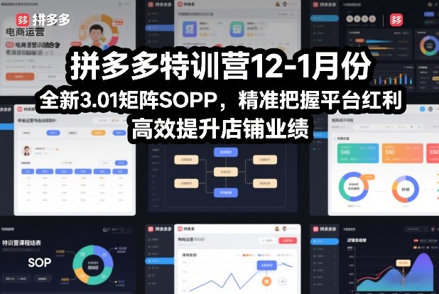 拼多多特训营12-1月份，全新3.01矩阵Sop，精准把握平台红利，高效提升店铺业绩-最全资源库