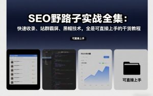 SEO野路子实战全集：快速收录、站群霸屏、黑帽技术，全是可直接上手的干货教程-最全资源库
