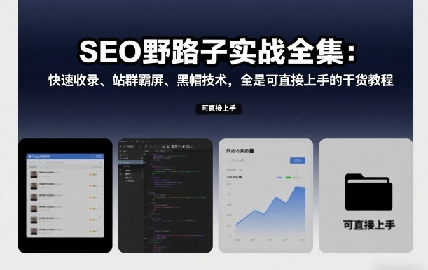 SEO野路子实战全集：快速收录、站群霸屏、黑帽技术，全是可直接上手的干货教程-最全资源库