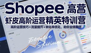 Shopee虾皮高阶运营精英特训营，高阶运营技巧+流量提升+转化率优化，助你业绩翻倍-最全资源库