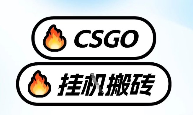 真全网独家CSGO挂G，最新玩法,单日捡漏1K+，不用电脑，不用打游戏【揭秘】-最全资源库