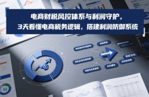 电商财税风控体系与利润守护，3天看懂电商税务逻辑，搭建利润防御系统-最全资源库