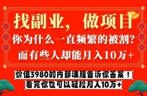 价值3980的网创内部课程，告诉你互联网创业月入10个W的秘密【揭秘】-最全资源库