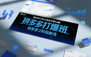 拼多多打爆班原创技术第54期，拼多多2阶段断流-最全资源库