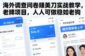 海外调查问卷賺美刀实战教学，老牌项目，人人可做稳如老狗-最全资源库