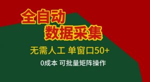 全自动数据采集，无需人工，单窗口50+，0成本可批量矩阵操作【揭秘】-最全资源库