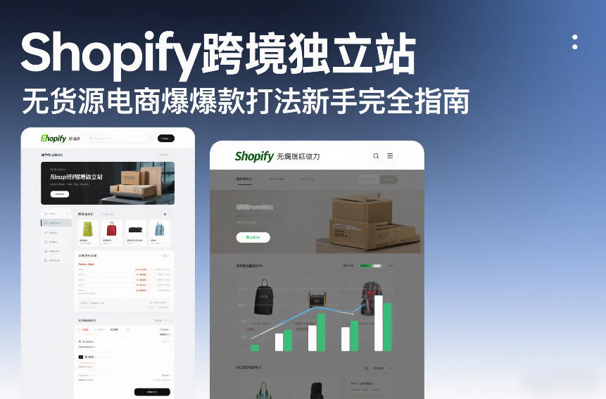 Shopify跨境独立站无货源电商爆款打法新手完全指南-最全资源库