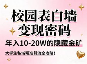 校园表白墙变现密码，年入10-20W的隐藏金矿，大学生私域精准引流全攻略！-最全资源库