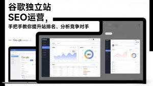 谷歌独立站SEO运营，手把手教你提升网站排名、分析竞争对手（更新2026）-最全资源库