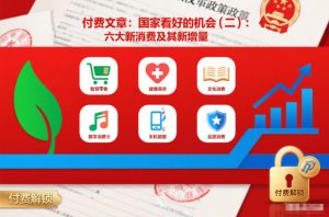 付费文章：国家看好的机会(二)：六大新消费及其新增量-最全资源库