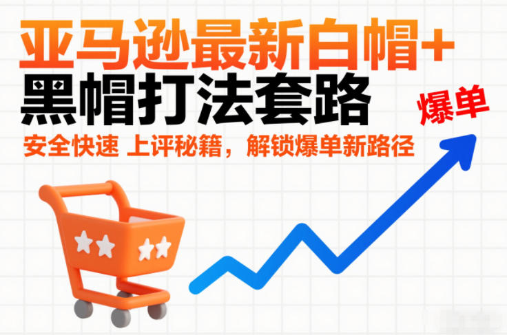 亚马逊最新白帽+黑帽打法套路，安全快速上评秘籍，解锁爆单新路径-最全资源库
