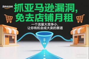 抓亚马逊漏洞，免去店铺月租，一个流量大竞争小，让你有机会成大卖的赛道-最全资源库
