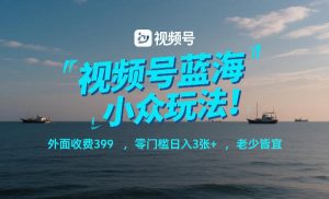 视频号蓝海小众玩法！外面收费399，零门槛日入3张+，老少皆宜-最全资源库