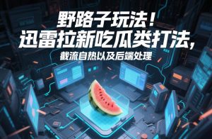 野路子玩法！迅雷拉新吃瓜类打法，截流自热以及后端处理-最全资源库