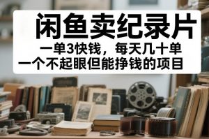 闲鱼卖纪录片，一单3快钱，每天几十单，一个不起眼但能挣钱的项目【揭秘】-最全资源库