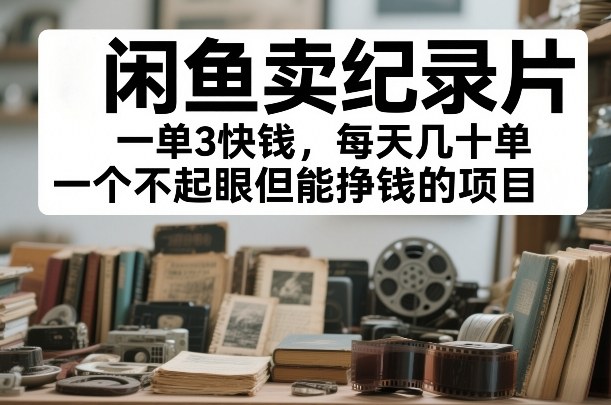 闲鱼卖纪录片，一单3快钱，每天几十单，一个不起眼但能挣钱的项目【揭秘】-最全资源库