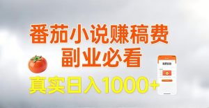 全网独家，番茄小说賺稿费邪修玩法，操作超级简单，单日收益1k+【揭秘】-最全资源库