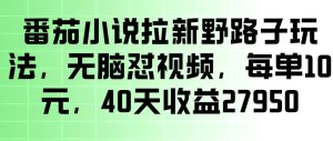 番茄小说拉新野路子玩法,无脑怼视频,玩法简单、见效快,每单10米,40天收益27950-最全资源库