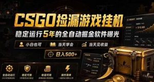 CSGO捡漏游戏挂G,稳定运行5年的全自动掘金软件曝光,小白也可当天学会,当天见收益,日入500+【揭秘】-最全资源库
