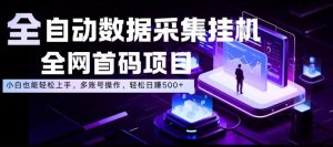 全自动数据采集挂G,全网首码项目,简单易操作,小白也能轻松上手,多账号操作,轻松日入500+【揭秘】-最全资源库