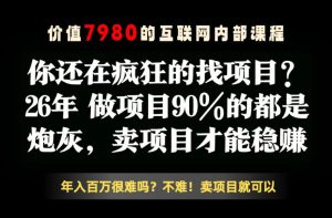 26年请不要疯狂的找项目了,卖项目远比你想象的暴利,你也可以月入10W+【揭秘】-最全资源库