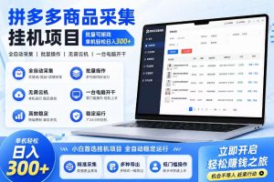 拼多多商品信息采集挂G项目,批量可矩阵,单机轻松日入300+,长期稳定【揭秘】-最全资源库