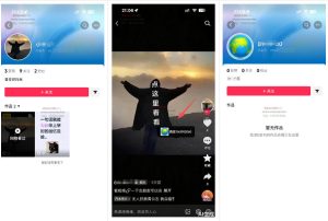 最强抖音引流-隐藏式暂停跳钩子,效果自测-最全资源库